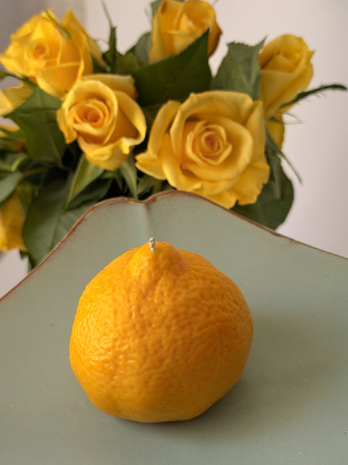 Handgjort doftljus CITRON